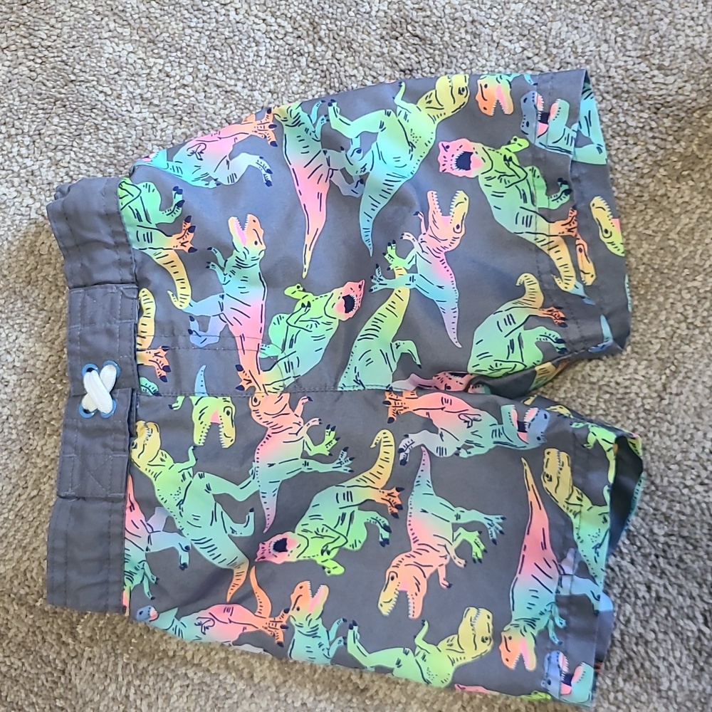3T Cat & Jack Swim Trunks